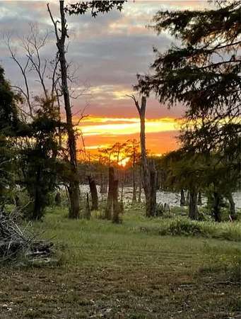 8 Acres of Land for Sale in Woodville, Mississippi