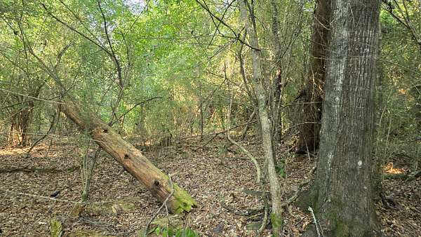 5 Acres of Land for Sale in Roxie, Mississippi