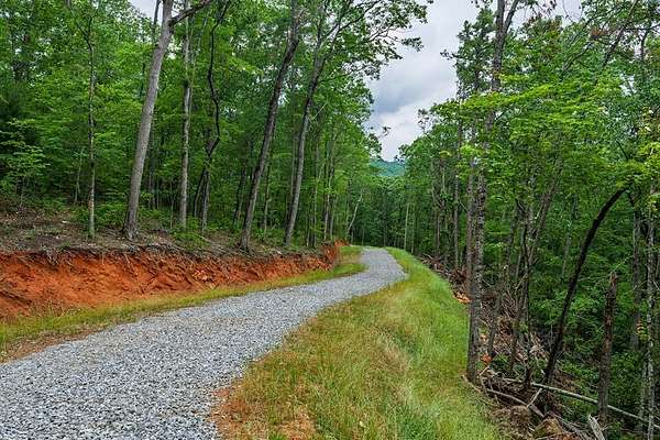 590 Acres of Recreational Land for Sale in Ellijay, Georgia