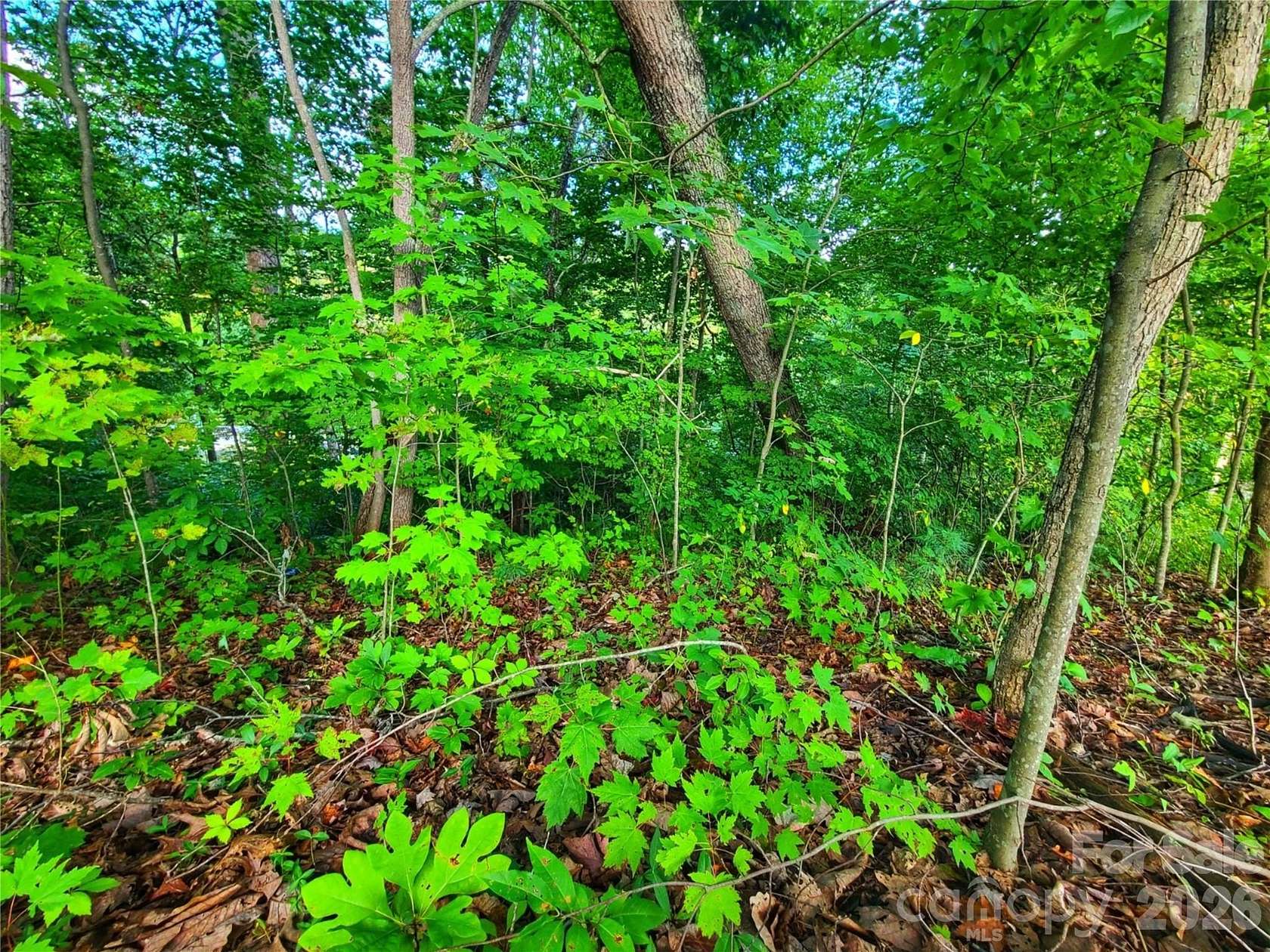 1 Acre of Residential Land for Sale in Mars Hill, North Carolina