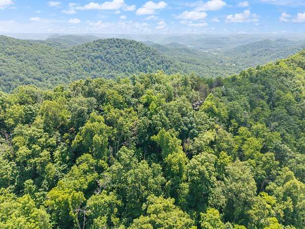 40 Acres of Recreational & Residential Land for Sale in Irvine, Kentucky