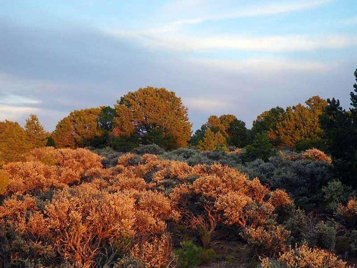 4.49 Acres of Residential Land for Sale in Ranchos de Taos, New Mexico