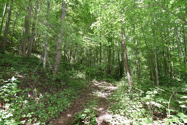 38 Acres of Recreational & Residential Land for Sale in Laurelville, Ohio