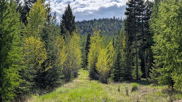 30 Acres of Recreational Land for Sale in Kila, Montana