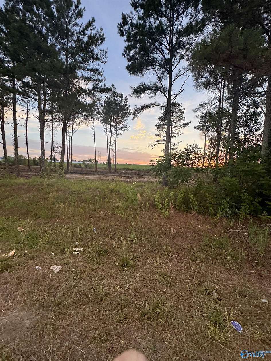 2 Acres of Land for Sale in Pisgah, Alabama