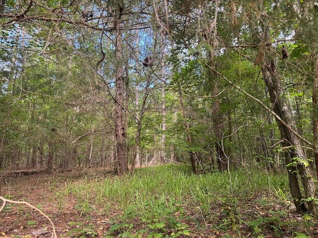 0.33 Acres of Residential Land for Sale in Waverly Hall, Georgia