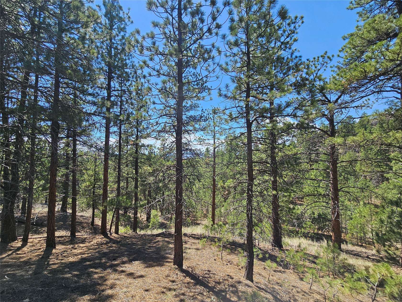 8.27 Acres of Land for Sale in Cascade, Montana