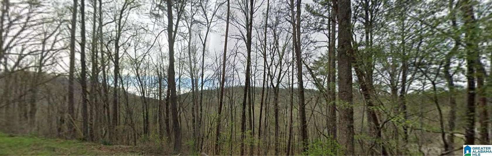 2.6 Acres of Residential Land for Sale in Remlap, Alabama