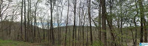2.6 Acres of Residential Land for Sale in Remlap, Alabama