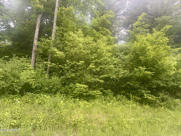 91.1 Acres of Recreational & Residential Land for Sale in Duanesburg, New York