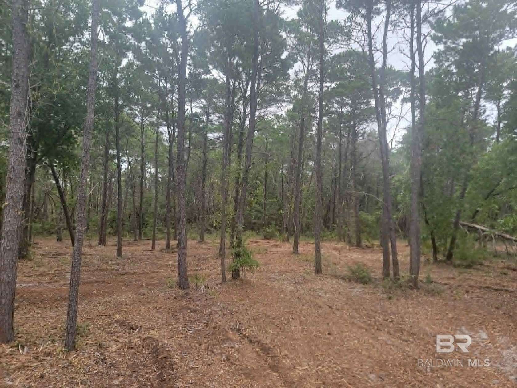 Residential Land for Sale in Gulf Shores, Alabama