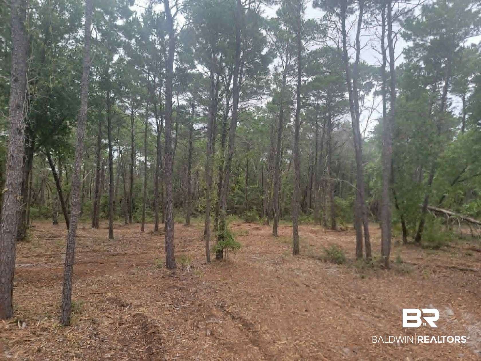 0.81 Acres of Residential Land for Sale in Gulf Shores, Alabama