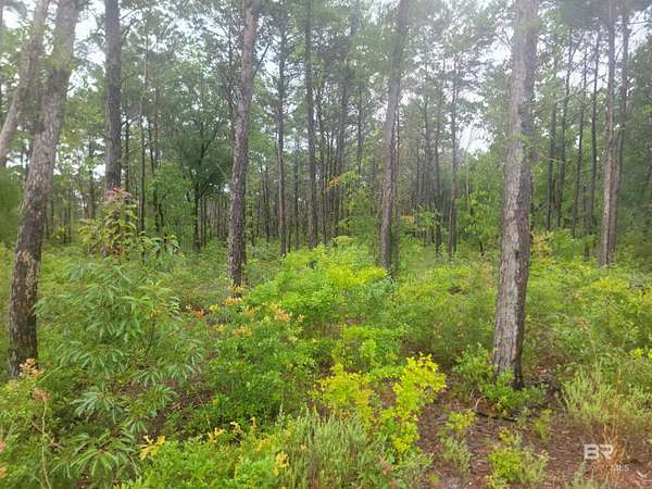 Residential Land for Sale in Gulf Shores, Alabama