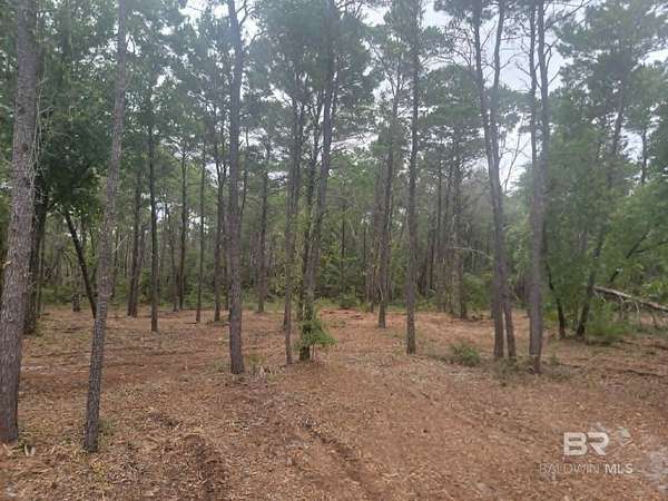 Residential Land for Sale in Gulf Shores, Alabama