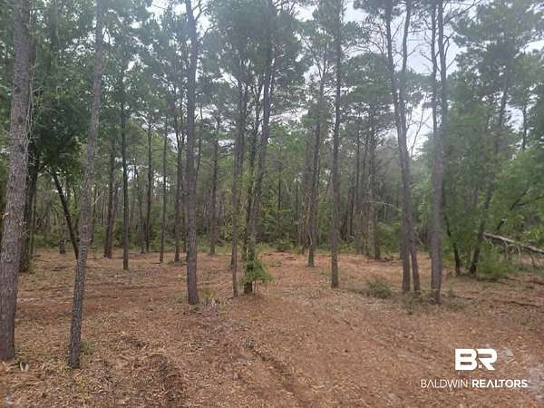 Residential Land for Sale in Gulf Shores, Alabama