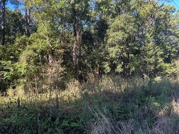 2 Acres of Residential Land for Sale in Charleston, South Carolina