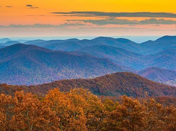 64 Acres of Land with Home for Sale in Morganton, Georgia