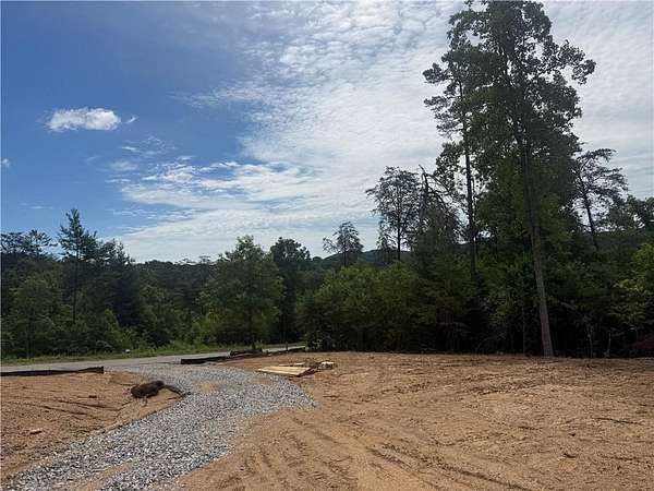64 Acres of Land with Home for Sale in Morganton, Georgia