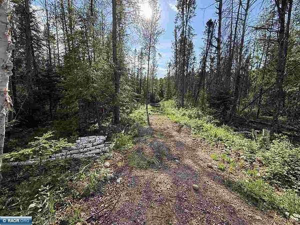 7 Acres of Land for Sale in Hibbing, Minnesota