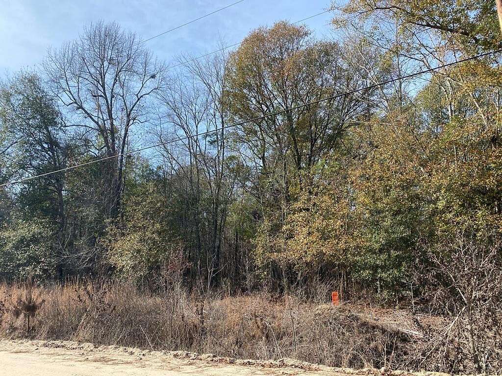 10.6 Acres of Recreational & Residential Land for Sale in Swainsboro, Georgia