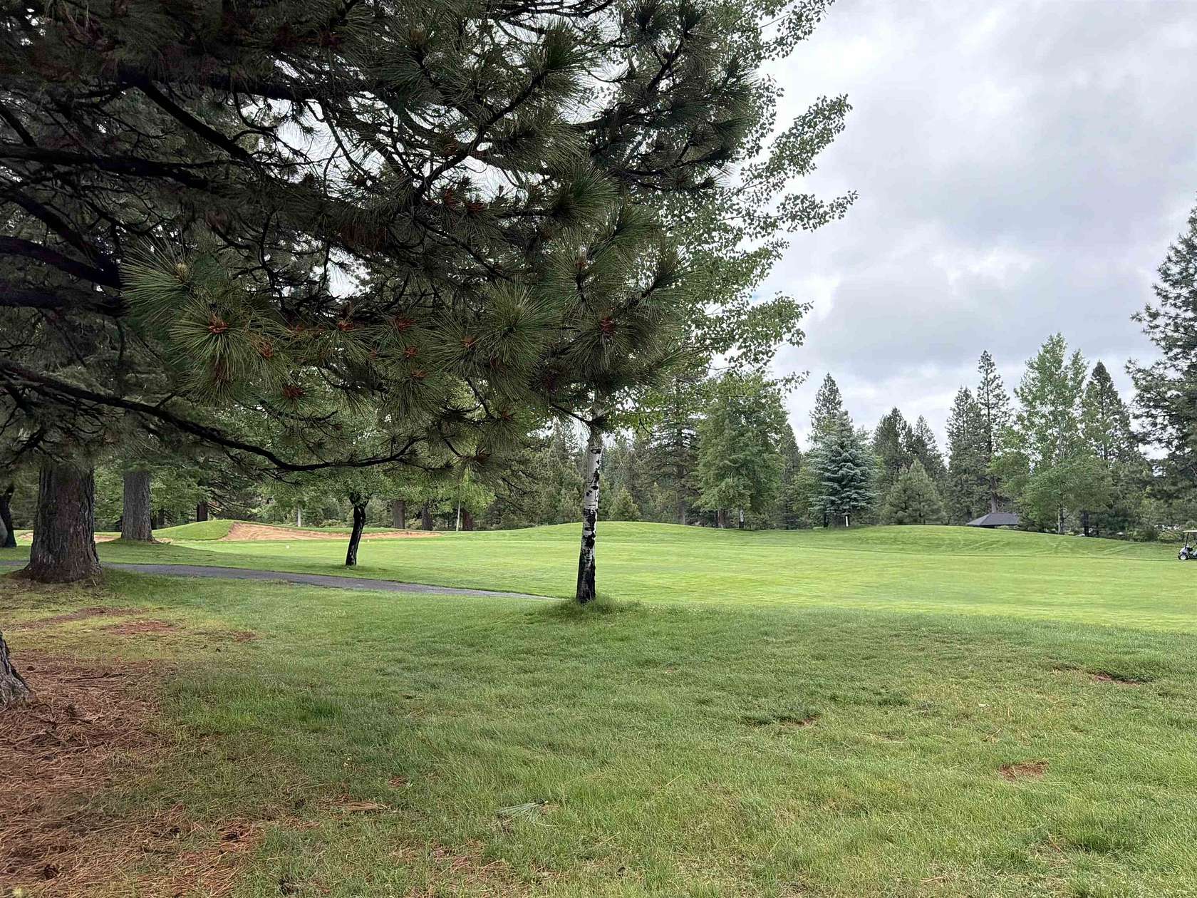 0.41 Acres of Residential Land for Sale in Lake Almanor Peninsula, California