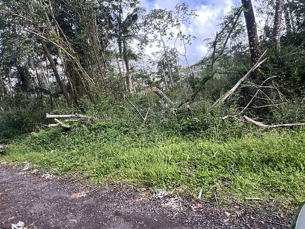 0.19 Acres of Land for Sale in Pahoa, Hawaii