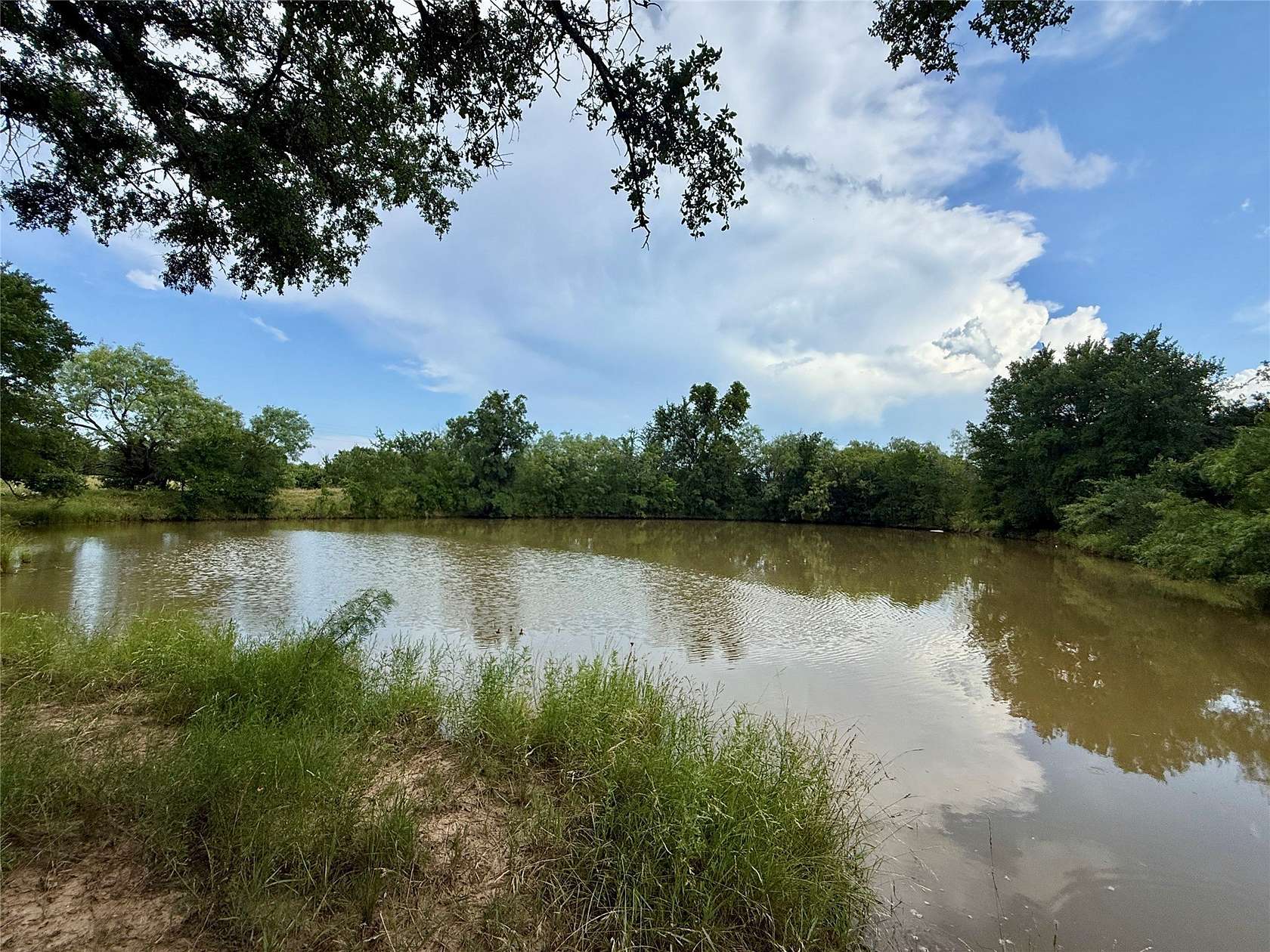 91.5 Acres of Land for Sale in Early, Texas