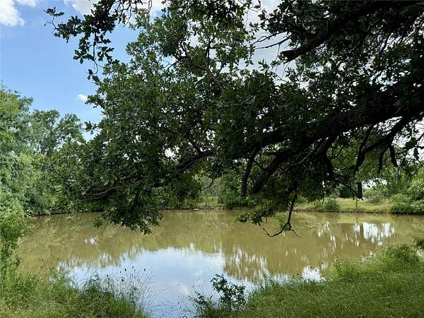 91.5 Acres of Land for Sale in Early, Texas