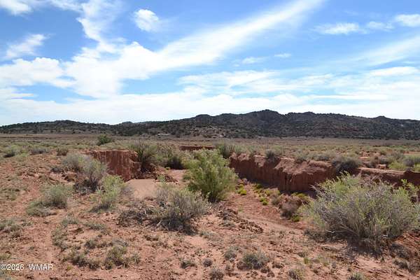 76 Acres of Recreational & Residential Land for Sale in Concho, Arizona