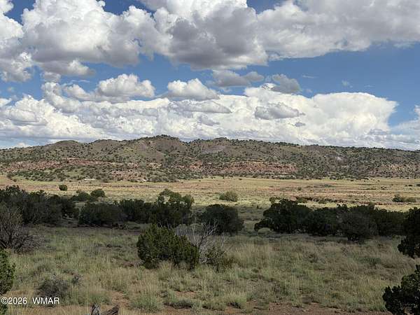 76 Acres of Recreational & Residential Land for Sale in Concho, Arizona