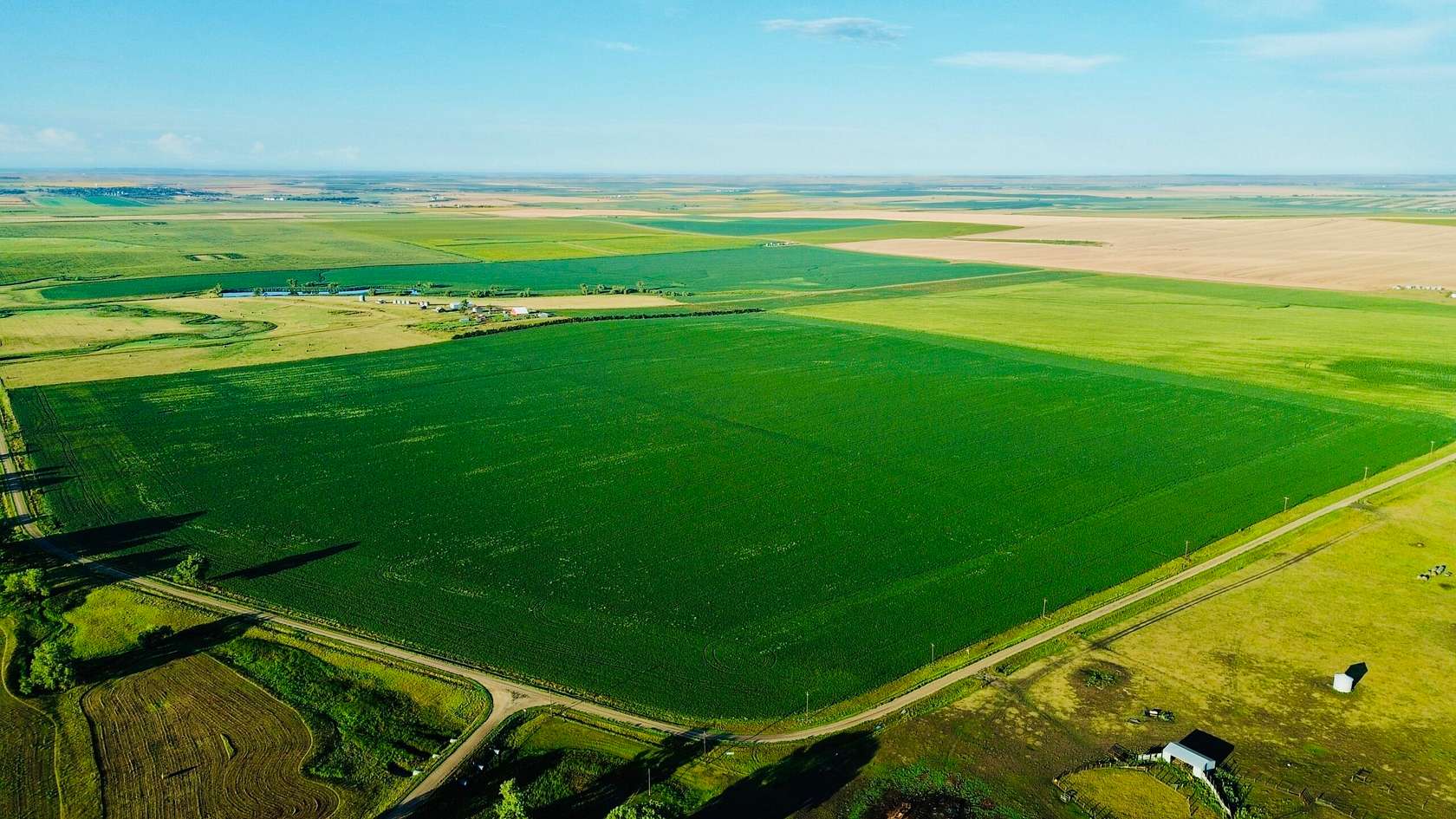 311 Acres of Land for Sale in Presho, South Dakota