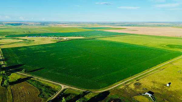 311 Acres of Land for Sale in Presho, South Dakota