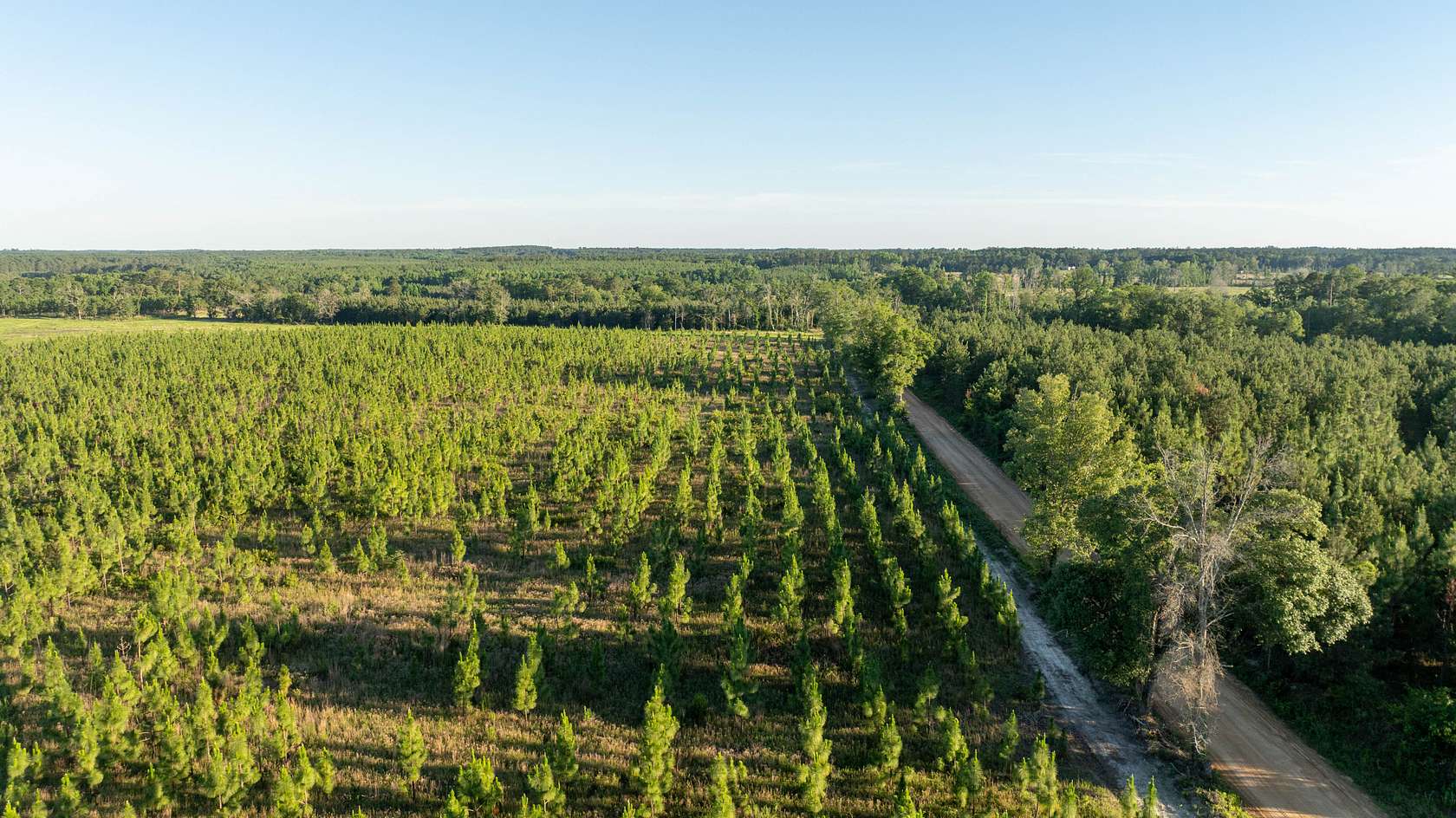 93 Acres of Recreational Land for Sale in Sylvania, Georgia