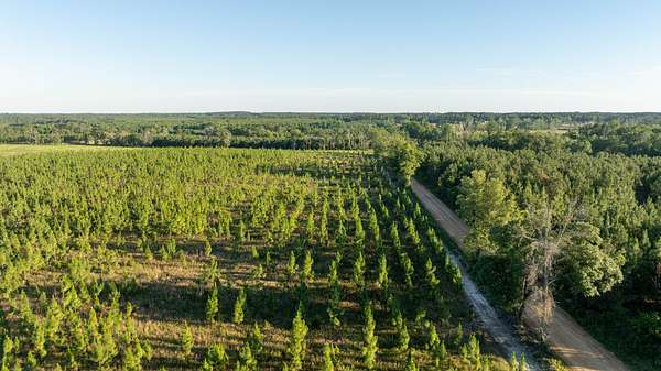 93 Acres of Recreational Land for Sale in Sylvania, Georgia