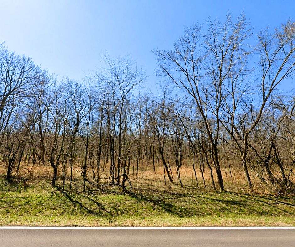 5.4 Acres of Residential Land for Sale in Edwards, Missouri