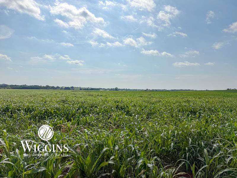 150 Acres of Agricultural & Residential Land for Auction in Crescent, Oklahoma