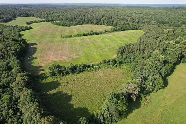 25 Acres of Land for Sale in Brookport, Illinois