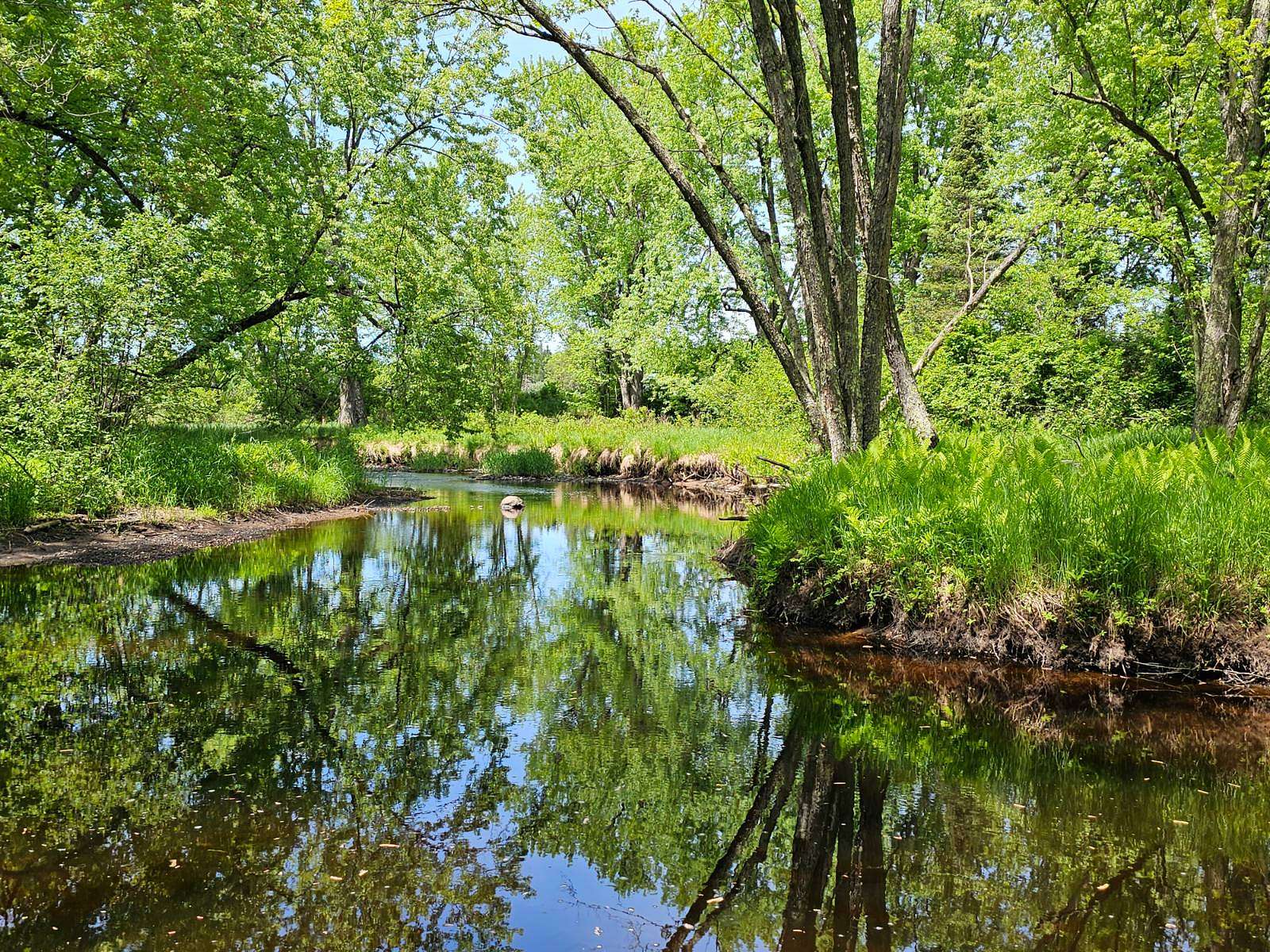 10 Acres of Recreational Land for Sale in Tomahawk, Wisconsin