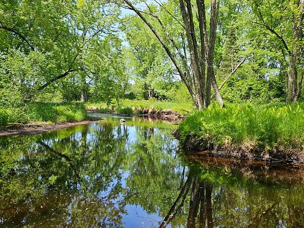 10 Acres of Recreational Land for Sale in Tomahawk, Wisconsin