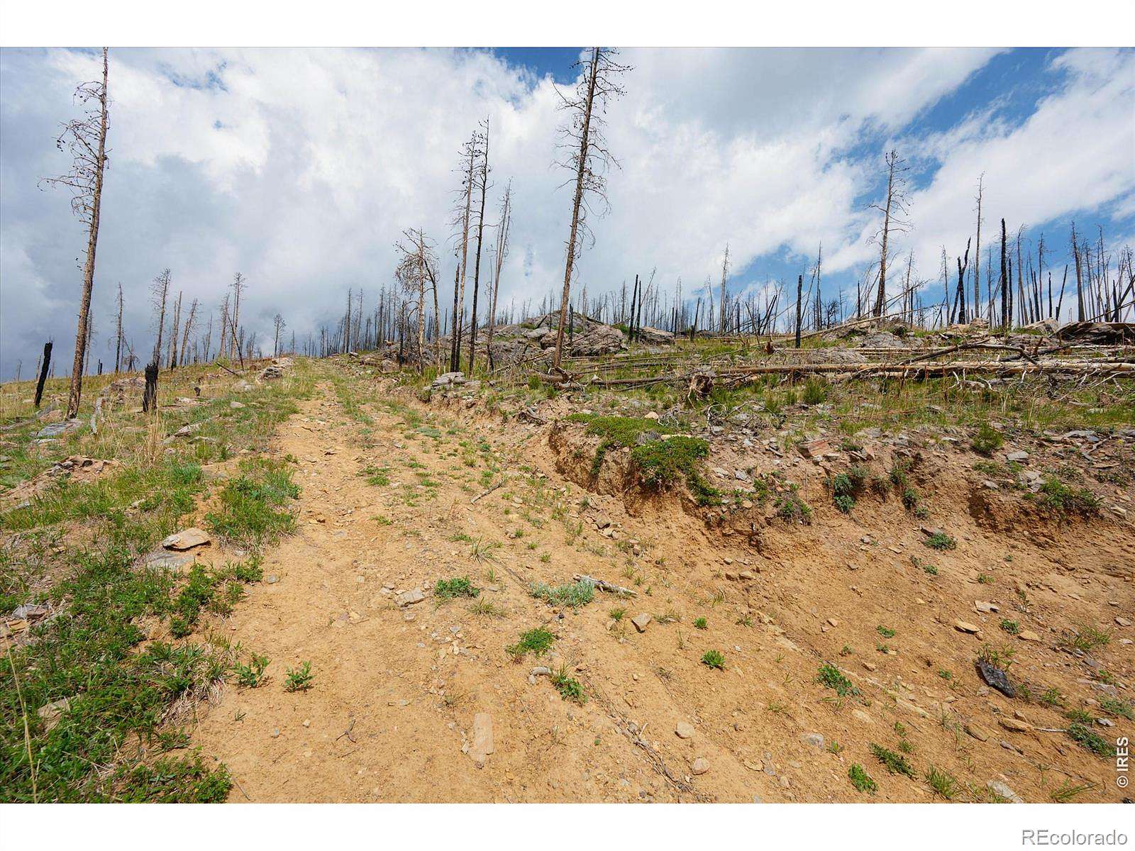 4 Acres of Land for Sale in Bellvue, Colorado