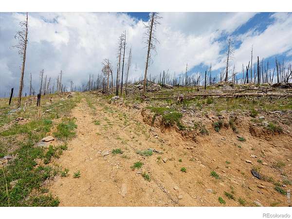 4 Acres of Land for Sale in Bellvue, Colorado