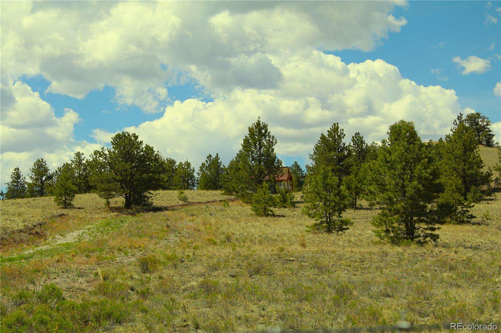 38.8 Acres of Recreational Land for Sale in Hartsel, Colorado