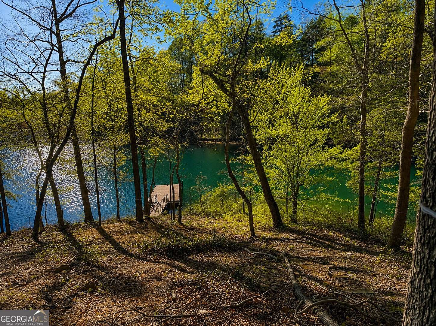 1 Acre of Residential Land for Sale in Six Mile, South Carolina