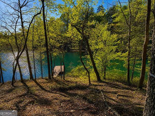 1 Acre of Residential Land for Sale in Six Mile, South Carolina
