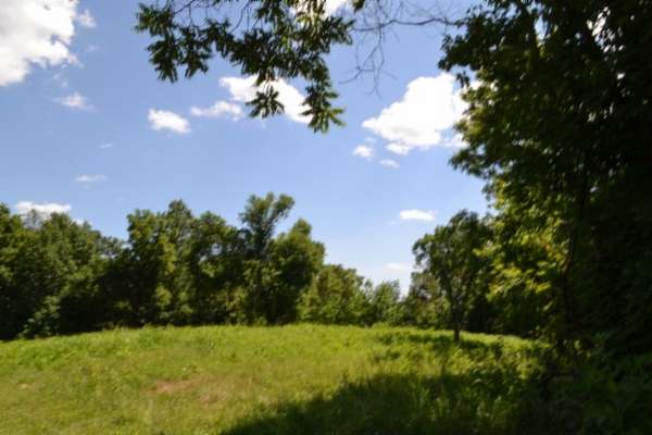 25 Acres of Recreational & Residential Land for Sale in Celina, Tennessee