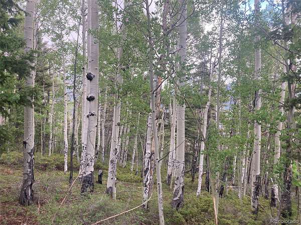 5.8 Acres of Residential Land for Sale in San Luis, Colorado