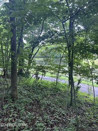 0.01 Acres of Residential Land for Sale in Fairfield Glade, Tennessee