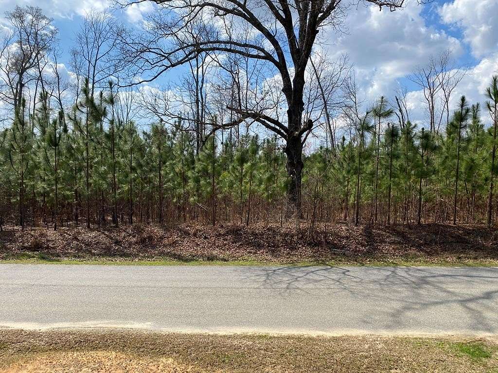 20 Acres of Recreational & Residential Land for Sale in Waverly Hall, Georgia