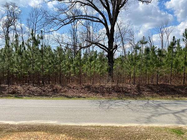 20 Acres of Recreational & Residential Land for Sale in Waverly Hall, Georgia