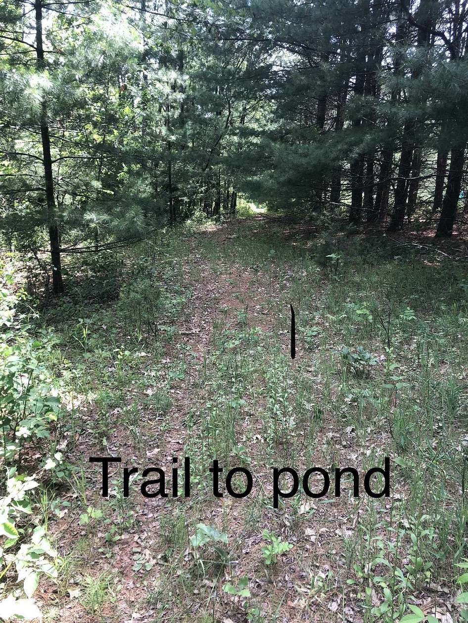 2.17 Acres of Residential Land for Sale in Neshkoro, Wisconsin